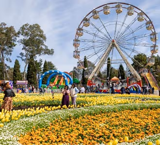 Floriade festival in Canberra. Image of people strolling through the fields with a ferris wheel in the background.